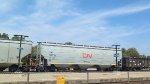CN 115718